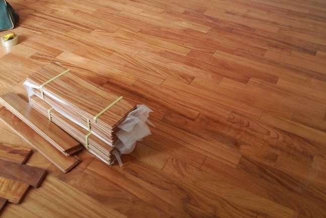 Sàn gỗ Gõ Đỏ được cấu tạo từ loại cây gỗ Gõ Đỏ trong tự nhiên